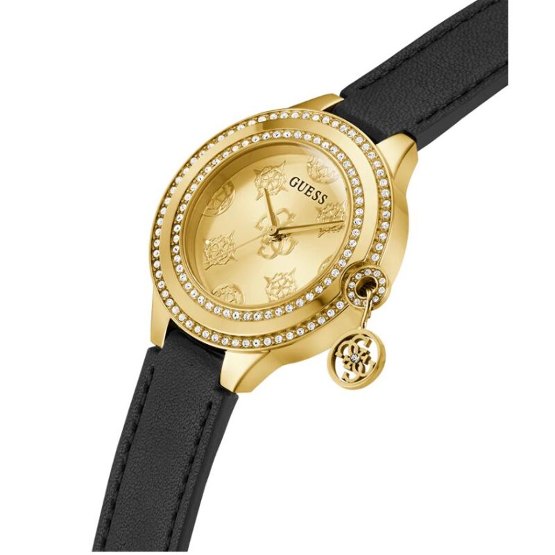 WatchLocker