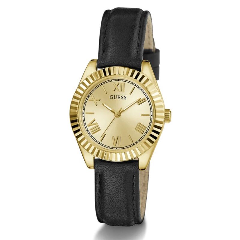 WatchLocker